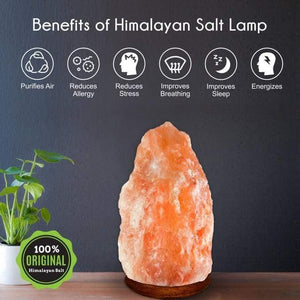 Natural Air Purifier Ionizer Himalayan Salt Lamp